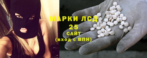 шишки Приозерск