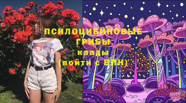 хмурый Арсеньев