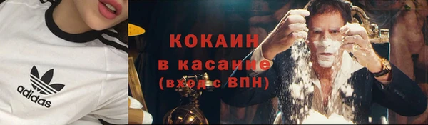 индика Медногорск