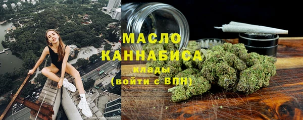 хмурый Арсеньев