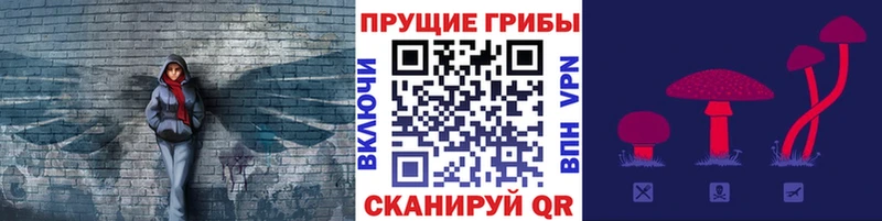 Псилоцибиновые грибы Cubensis  Мичуринск 